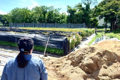 圖二、114年9月27日邀請竹東工作站的專業人員帶領大小朋友走進苗圃，認識樹木從「小小種子到成林大樹」的奧秘(林業保育署新竹分署提供)