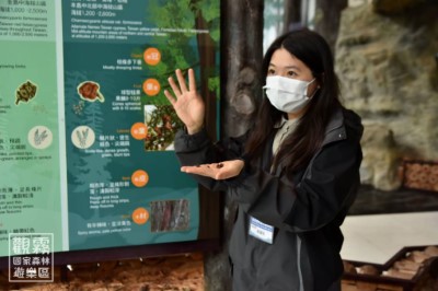 04_在遊客中心專業解說員的帶領下，透過館內導覽認識觀霧森林的樹木組成與生態故事（森之形自然教育團隊提供；陳柏璋攝）