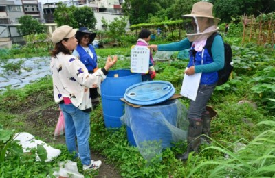 圖三、協會長期協助移除外來入侵種斑腿樹蛙，並積極向民眾宣導，守護台灣原生野生動物。