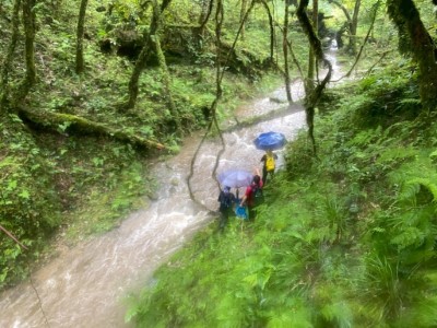 圖五、午後雷雨導致原本溪溝暴漲成滾滾泥水。(林業保育署新竹分署攝影)