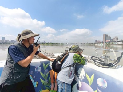 圖二、回顧114年度埃及聖䴉移除工作，新竹分署與宜蘭分署共同辦理聯合移除，近期已久未再目擊野外活動個體。(新竹分署提供)