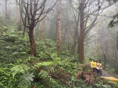 圖4.單日型戶外教學課程－「森林碳測術」：測量樹高(東眼山自然教育中心提供)