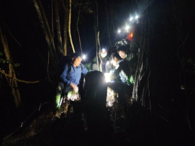 圖二、新竹分署、生多所、雪霸處、野聲公司團隊迅速集合於夜間搶救小熊。(新竹分署提供)