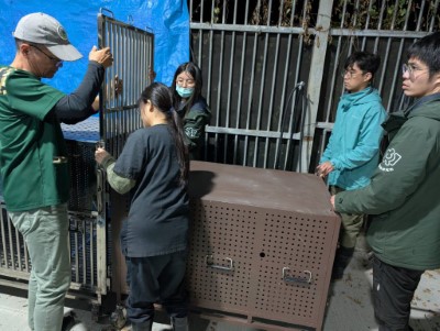 圖四、生多所與新竹分署連夜兼程將小熊送往生多所收容中心，讓小熊獲得妥善醫療照護。(新竹分署提供)