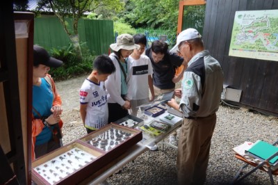 圖六、志工細心介紹甲蟲類標（攝影：林業保育署新竹分署提供）