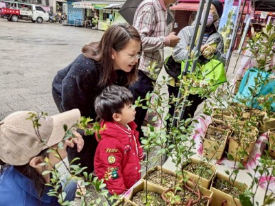 圖二、本分署三峽工作站舉辦贈苗活動，小朋友響應植樹節活動開心領苗(新竹分署提供)