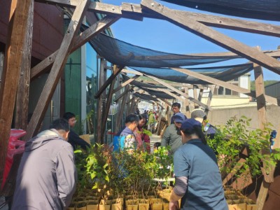 圖四、現場民眾熱烈參與領苗活動（新竹分署攝影）