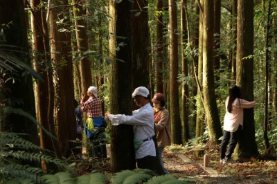 圖2.連結自然(東眼山自然教育中心提供)