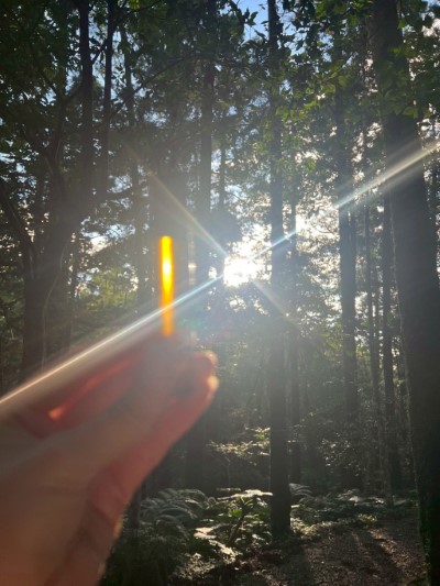 圖5.森林精油瓶調製(東眼山自然教育中心提供)