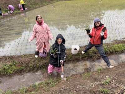 圖五、【原生植物紮根友善農田】(新竹分署提供)