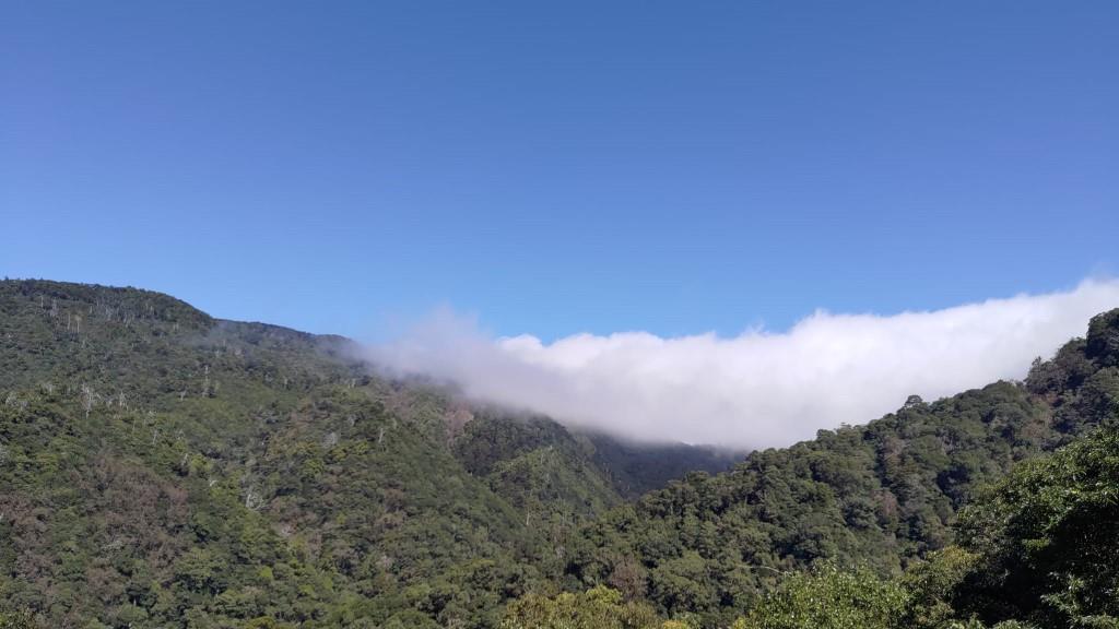 拉拉山國家森林遊樂區-雲瀑